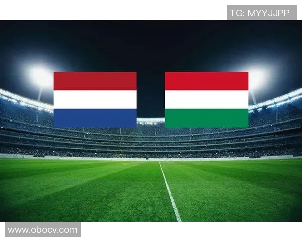 荷兰队与爱沙尼亚全场比赛精彩回顾及精彩瞬间分析