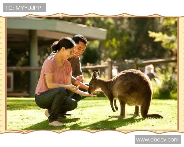 墨尔本袋鼠与堪培拉资本大学的精彩对决分析与展望