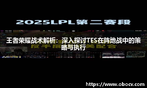 王者荣耀战术解析：深入探讨TES在阵地战中的策略与执行
